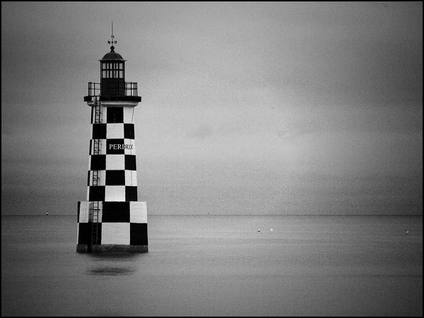 Perdrix noire et blanche - Paul Kerrien Perdrix noire et blanche - Paul Kerrien