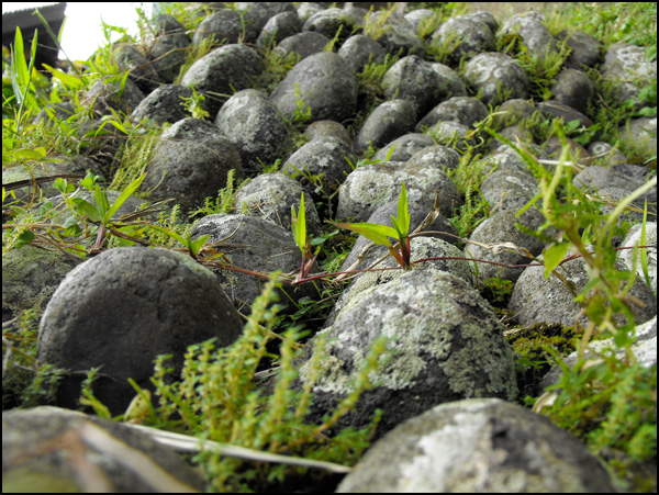 20100315191507_dscf6502.jpg 20100315191507_dscf6502.jpg