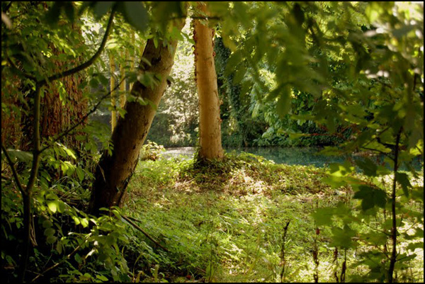 20100315200150_dsc_0239.jpg 20100315200150_dsc_0239.jpg