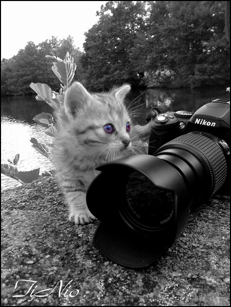 20100609225416_amour_____.jpg 20100609225416_amour_____.jpg