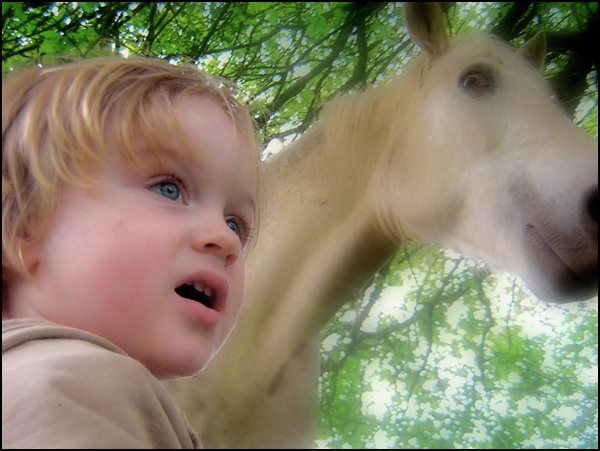 20100608141225_arzhel__au_pays_des____.jpg 20100608141225_arzhel__au_pays_des____.jpg