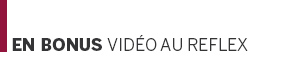 Vidéo au reflex